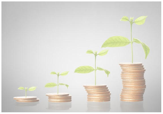 Plant seedlings growing from stacks of coins